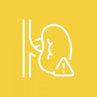 Боль в почках и мочеточниках