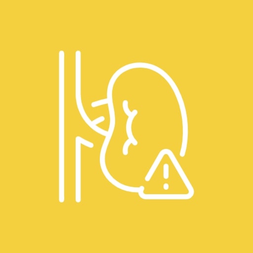 Боль в почках и мочеточниках