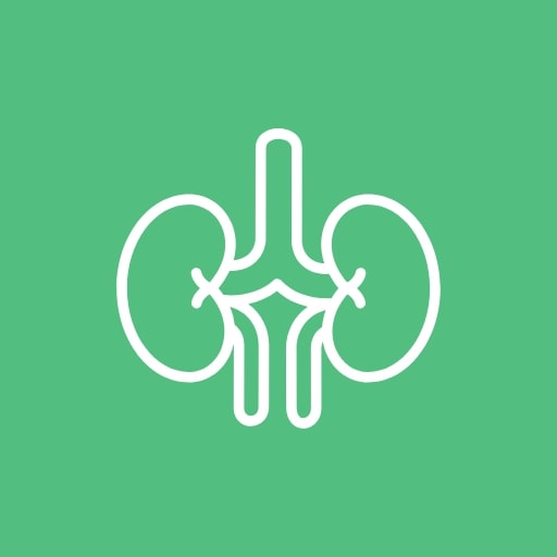 Головокружение и боль в почке