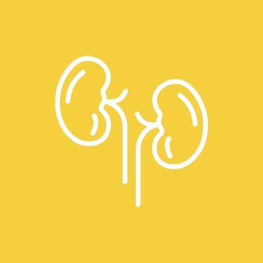 Боль в почках при цистите у женщин