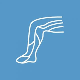 Температура и боль в икроножных мышцах