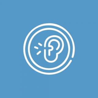 Свист в ухе