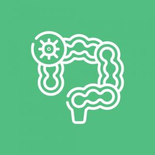 Боль в прямой кишке и влагалище