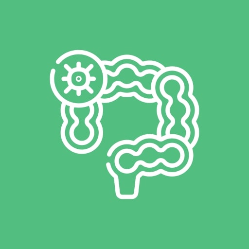 Боль в прямой кишке и влагалище