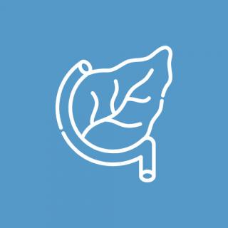 Боль в поджелудочной железе и высокая температура