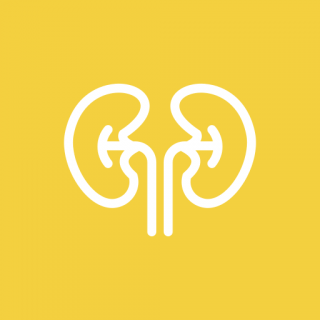 Увеличение почек