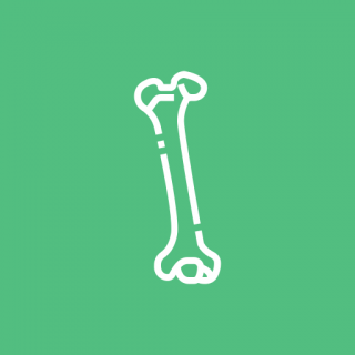 Увеличение костей