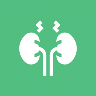 Уплотнение почек